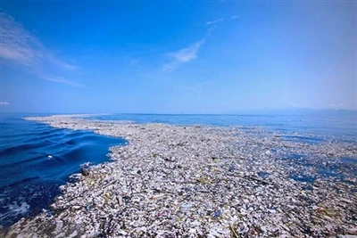 Deux fois la taille du Texas : le problème du plastique dans le Pacifique que...